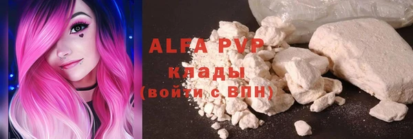 меф Ельня