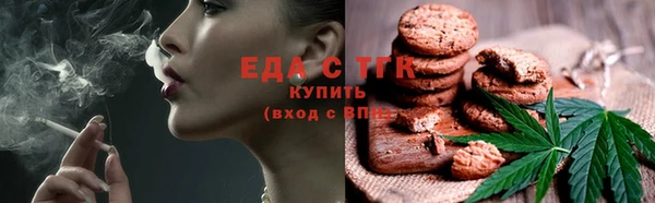 меф Ельня