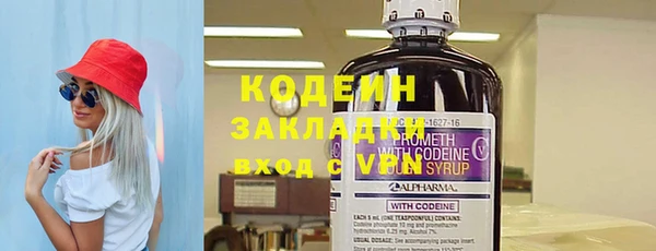 дурь Елизово