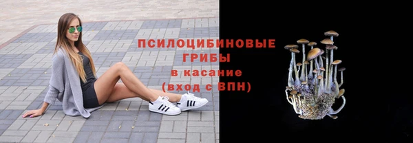меф Ельня