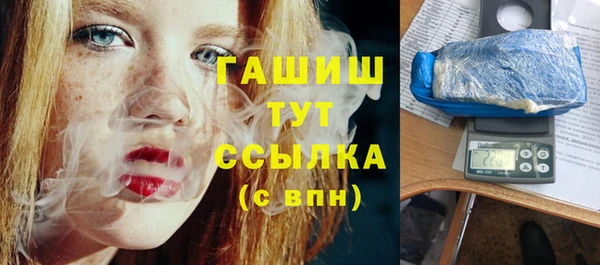 меф Ельня
