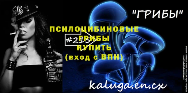 мескалин Елабуга