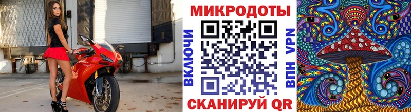 Псилоцибиновые грибы прущие грибы Кадников
